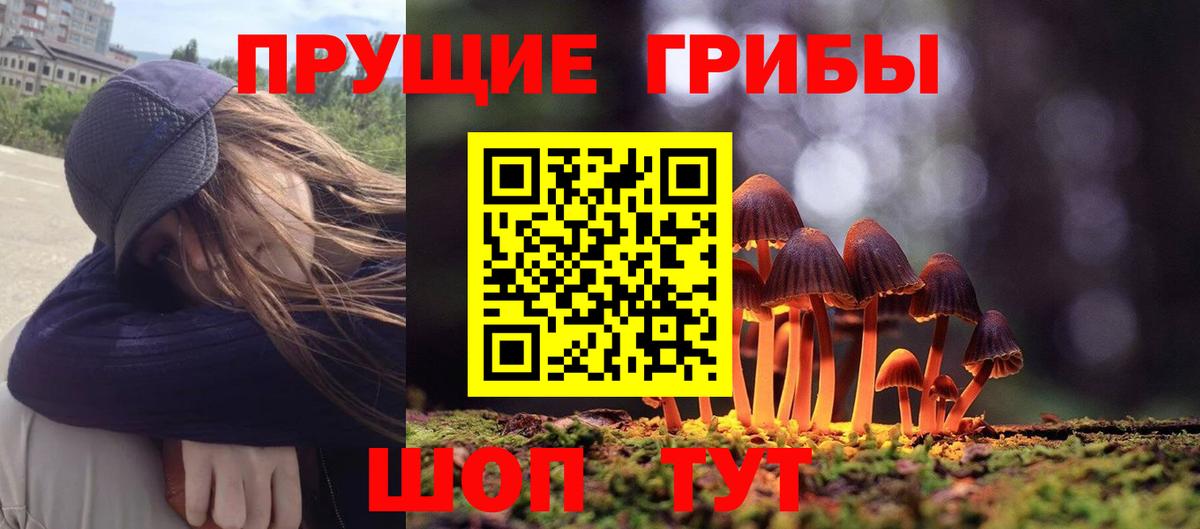 Пермь  закладки  Вход с VPN  Галлюциногенные грибы Magic Shrooms 
