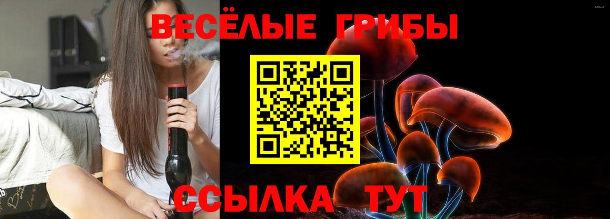 Галлюциногенные грибы мицелий Пермь
